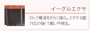 三州瓦・イーグルエクサ