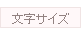 文字サイズ